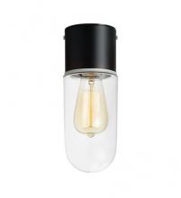 Zen lampa sufitowa łazienkowa czarno/przezroczyste 1x15W E27 IP44